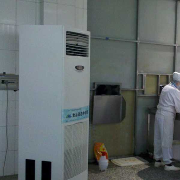 十堰食品正负离子空气杀菌器